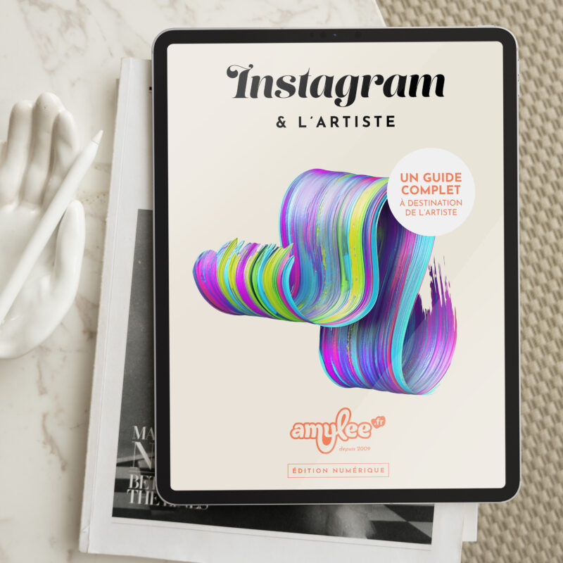 unique livre numérique pour développer son instagram d'artiste auteur professionnel