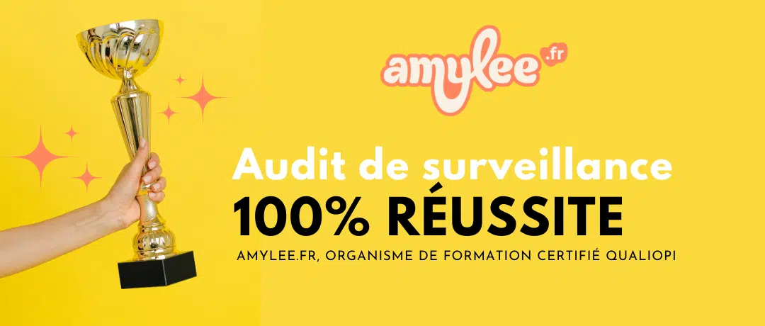 audit surveillance qualiopi