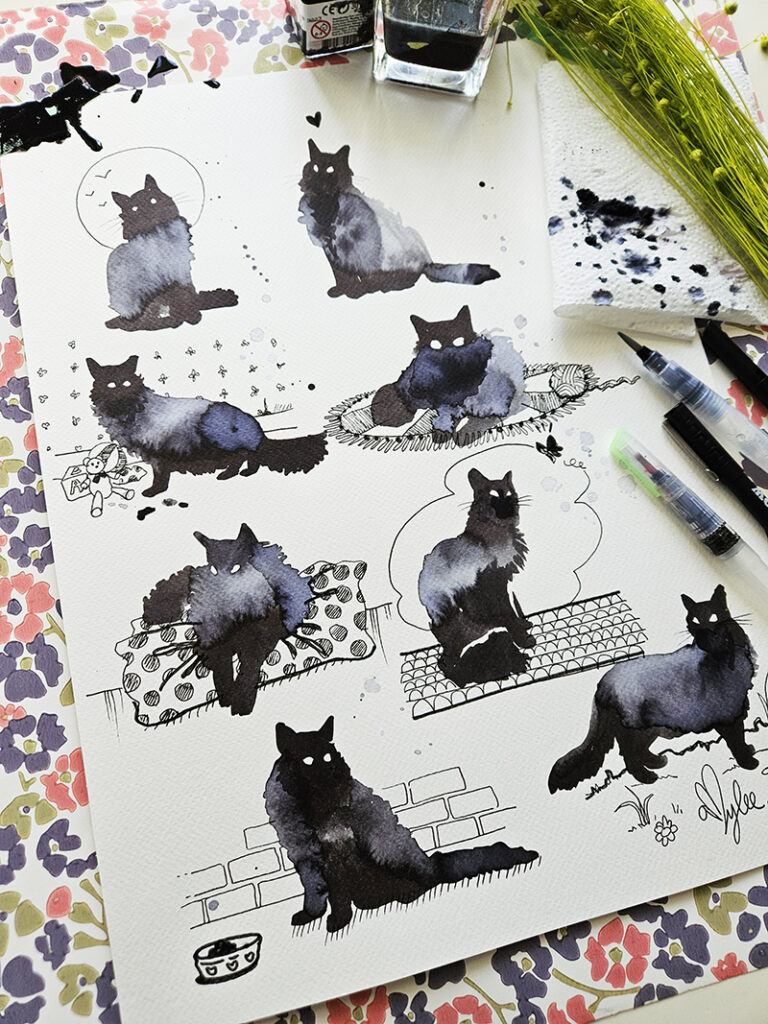 Illustrations chats : encre noire sur papier