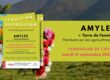 Colorful exhibition poster for Amylee 'Terre de Femmes' with a bright yellow text panel and floral collage surrounding it.