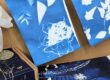 Gloved hand pointing at a cyanotype kit box labeled 'Le Kit Cyanotype' with blue botanical prints in the background.