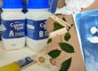 Cyanotype printing setup with two reagent bottles labeled A and B, a brush, artificial leaves, and a blue leaf-print exposure sheet.