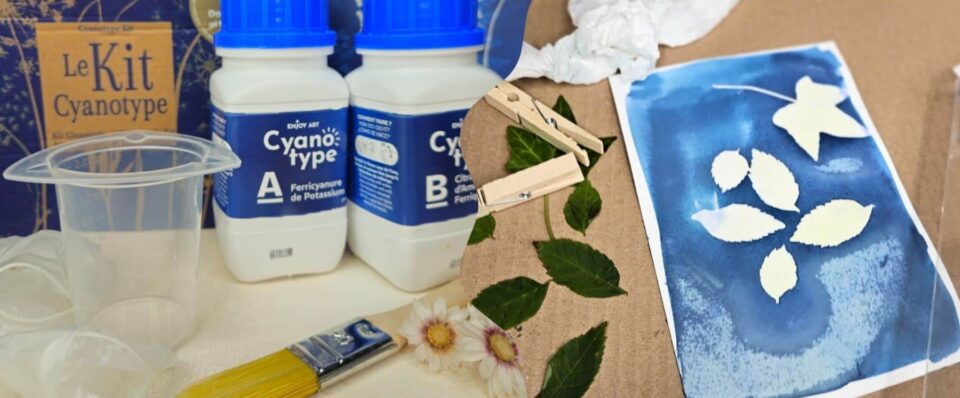 pinceau cyanotype conseils artistes creation amylee Cyanotype printing setup with two reagent bottles labeled A and B, a brush, artificial leaves, and a blue leaf-print exposure sheet.
