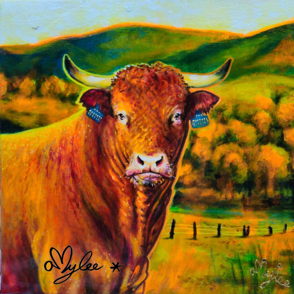 peinture vache salers aubrac cantal amylee artiste peintre acrylique aquarelle art couleurs moderne pop 14