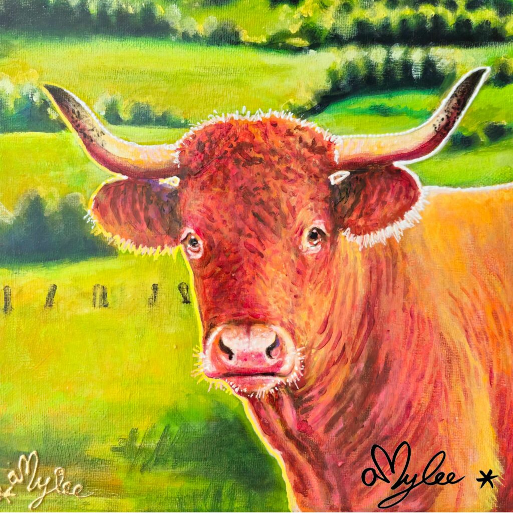 peinture vache salers aubrac cantal amylee artiste peintre acrylique aquarelle art couleurs moderne pop