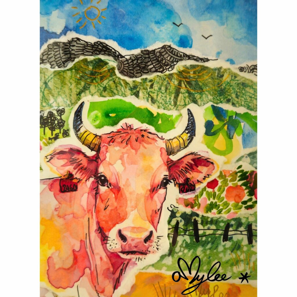 peinture vache salers aubrac cantal amylee artiste peintre acrylique aquarelle art couleurs moderne pop